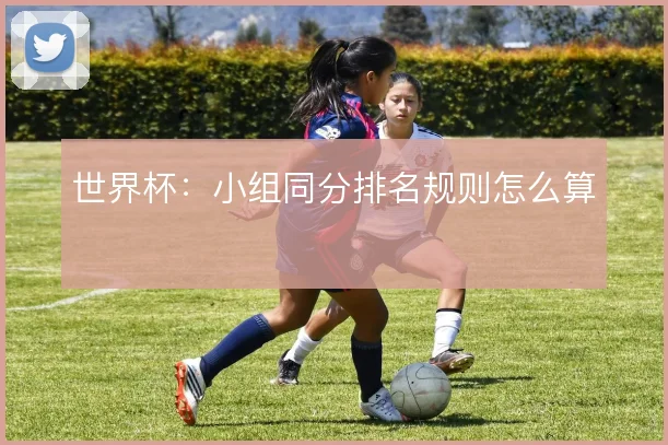 世界杯：小组同分排名规则怎么算